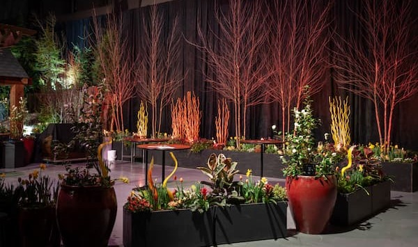 Blossom Bar