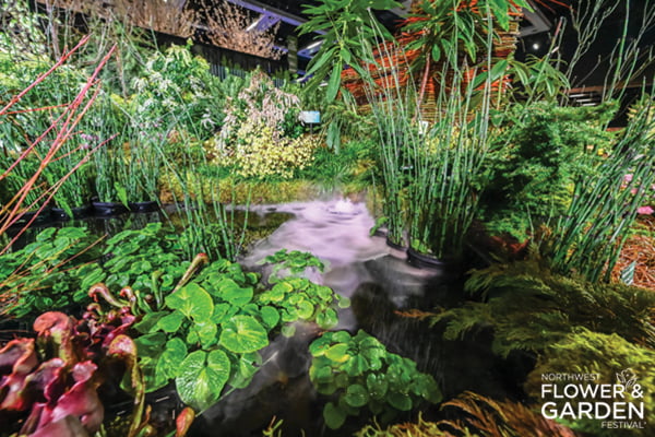 Washington Park Arboretum: Gateway to a Greener Earth