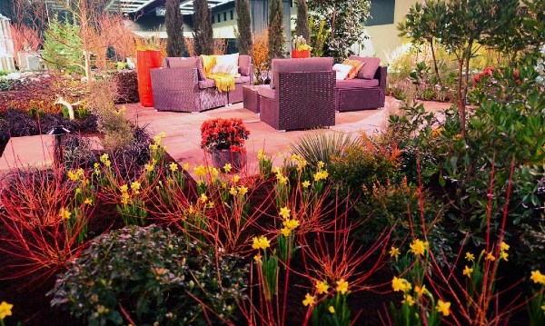 Pacific Landscaping