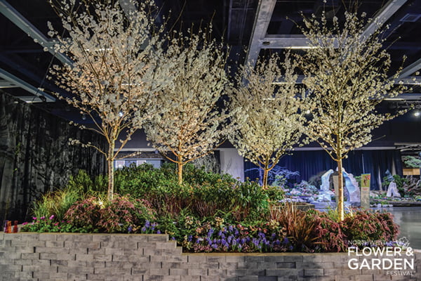 Beneath the Blossoms