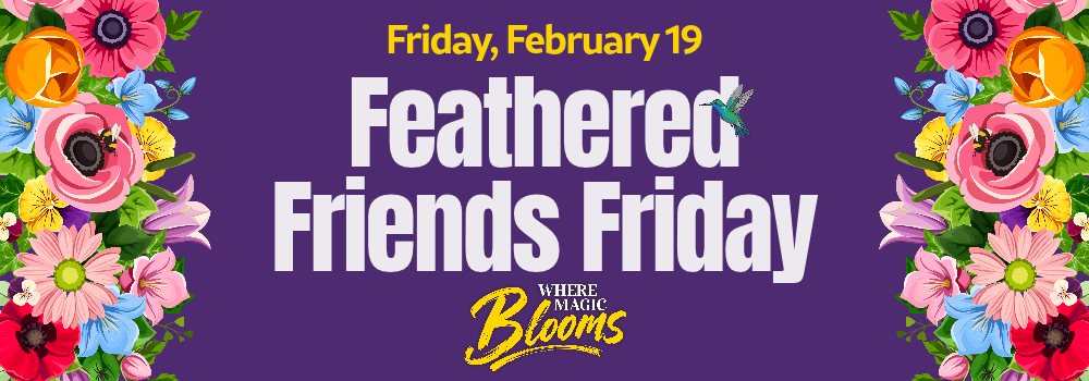 Feathered Friends Friday