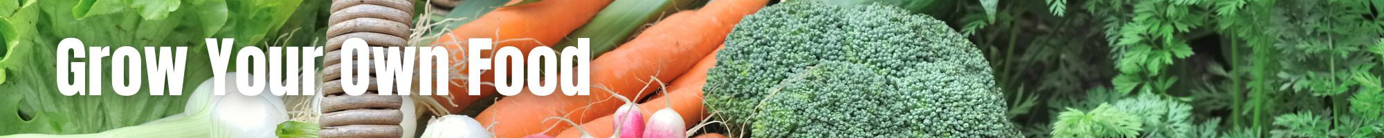 Grow your own food Grow your own food
