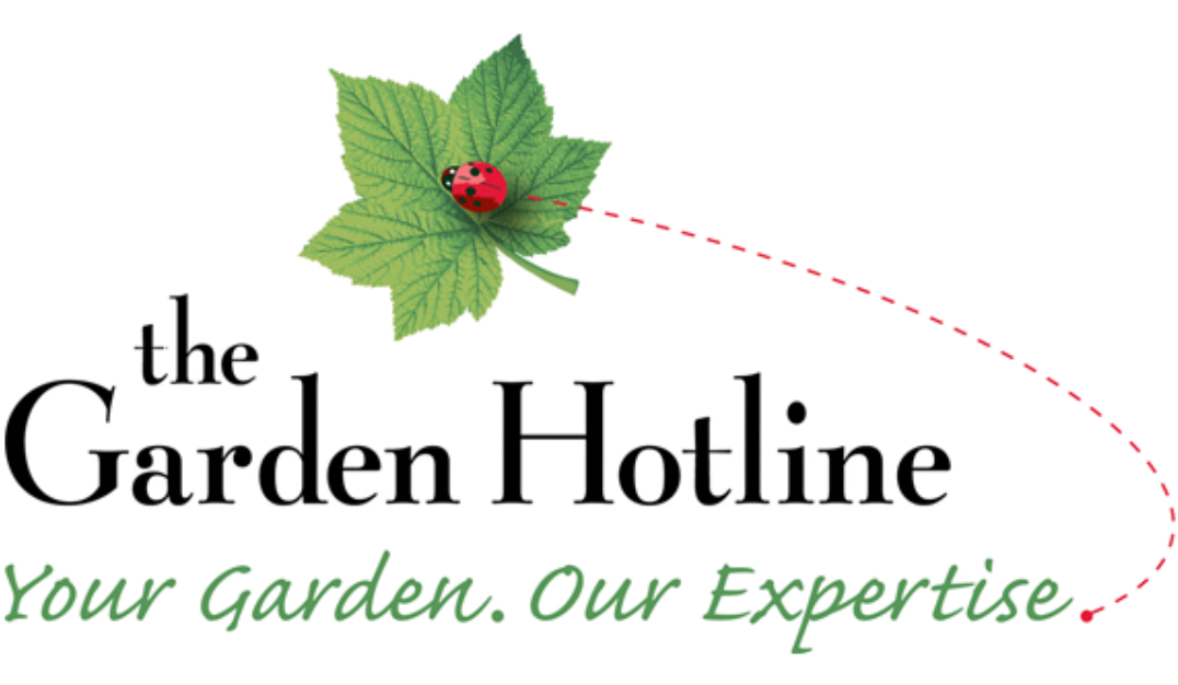 Garden Hotline