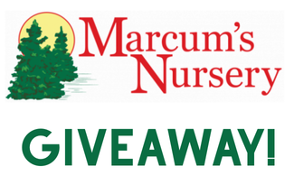 First 100 a Day: Marcum's Giveaway!