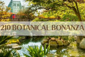 210 Botanical Bonanza 
