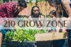 210 Grow Zone