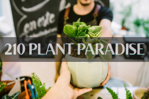 210 Plant Paradise