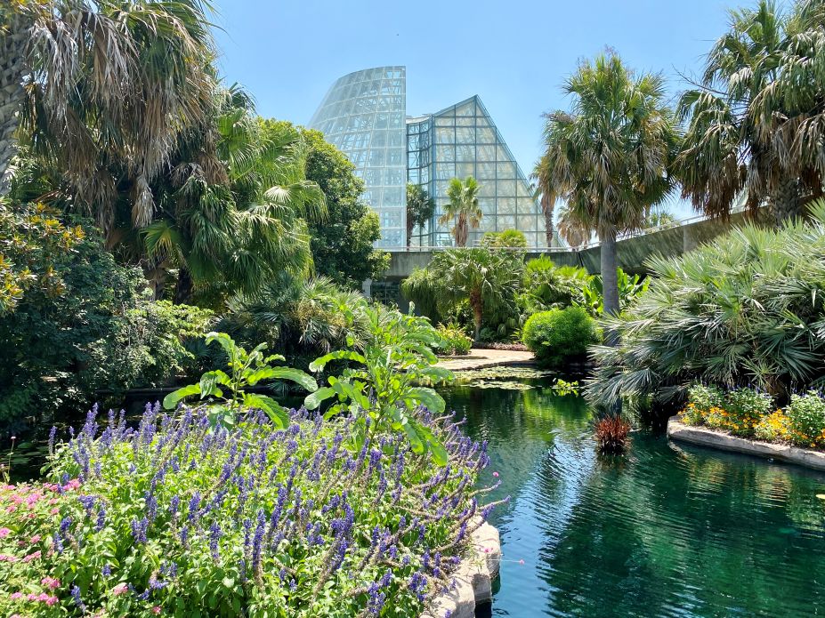 San Antonio Botanical Garden Plant Sale