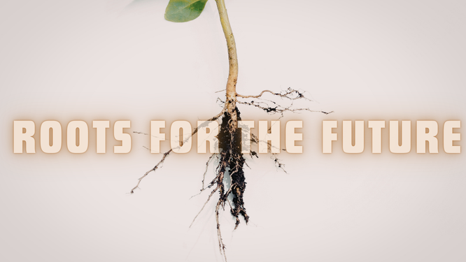 Roots For The Future