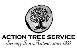Action Tree Service