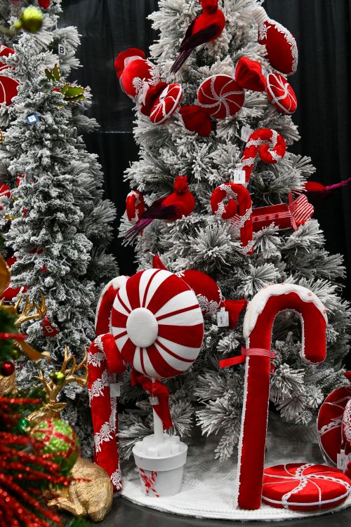 Candy Cane Lane