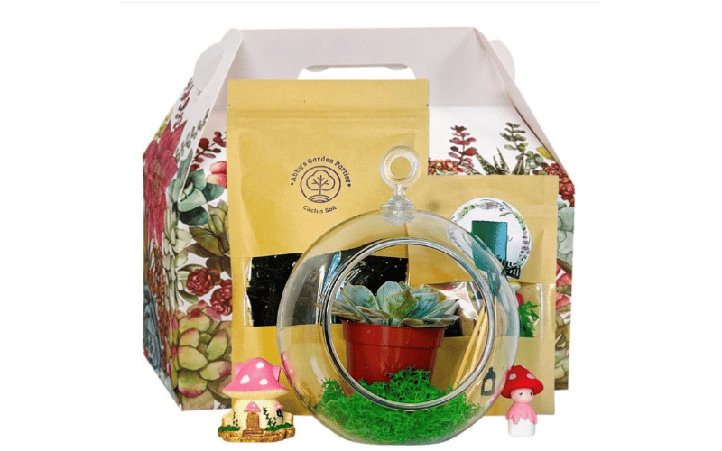 do-it-yourself terrarium kit 