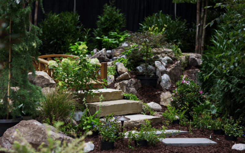 a garden filled with large plants and rocks