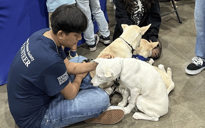 teenage boy sitting on the floor with two dogs 