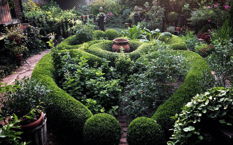 large garden with many hedges and flowers 