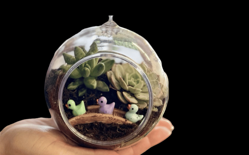 a terrarium with small miniature toy ducks inside 