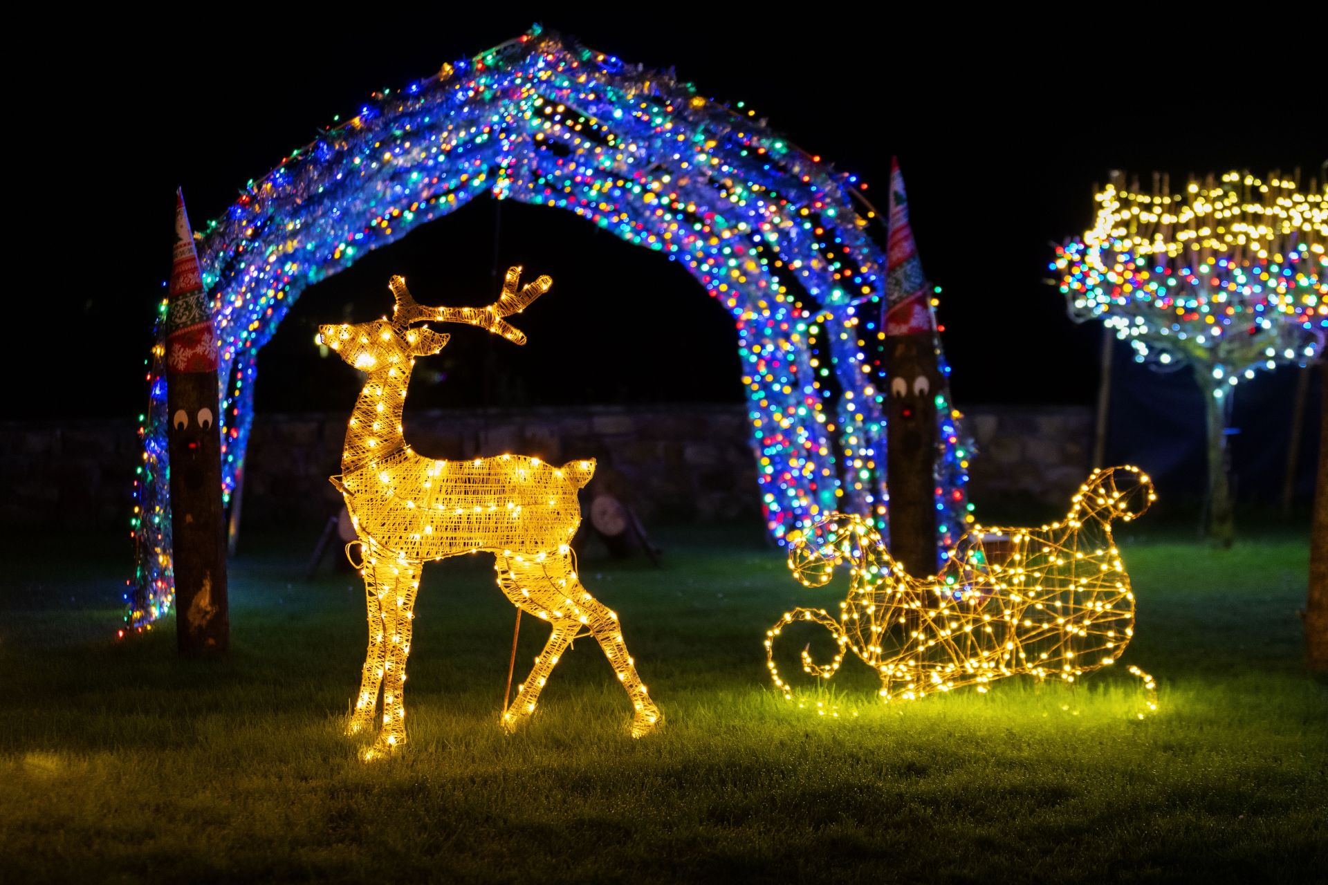 Holiday Light Tours