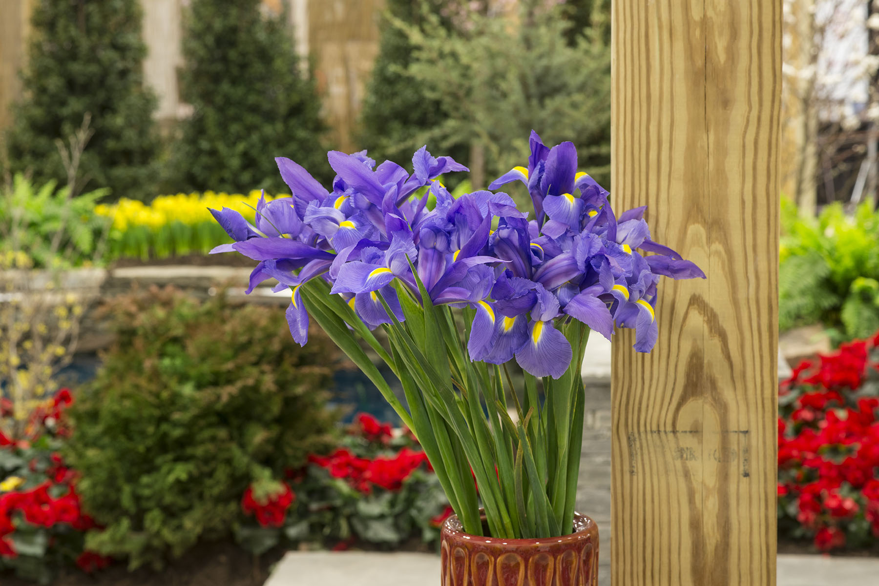 FEATURE GARDENS FEATURE GARDENS