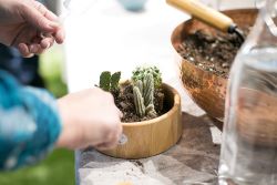 TERRARIUMS & PLANTS TO GO TERRARIUMS & PLANTS TO GO
