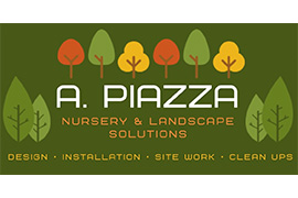 A. Piazza NLS