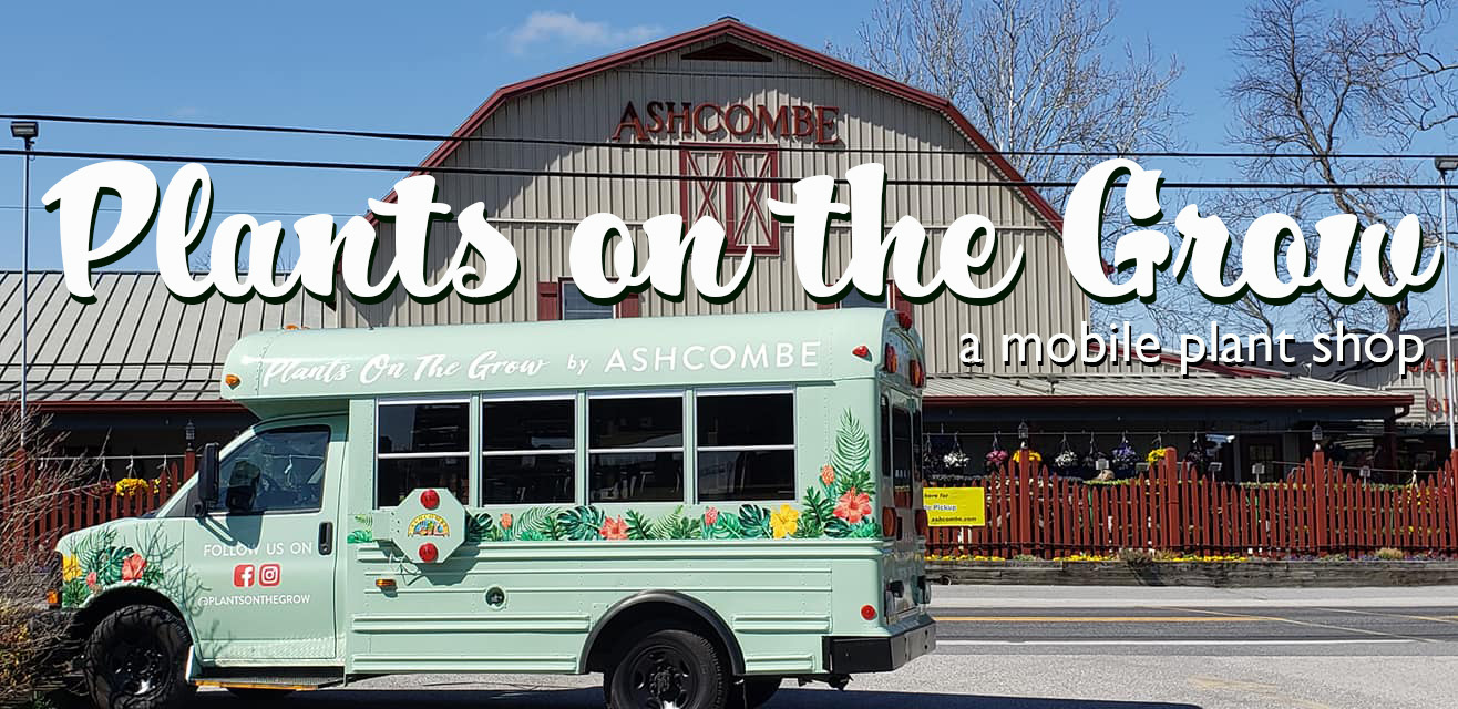 Plants on the Grow by Ashcombe Farm + Greenhouses