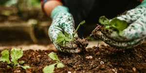Ask a Master Gardener
