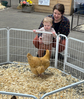 Mother and young child looking at chicken in petting zoo 