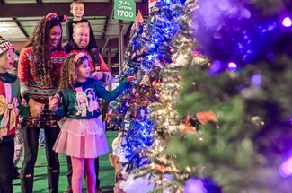 Festival of Trees
