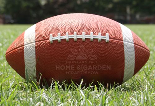 Ravens Fan Sunday - resized