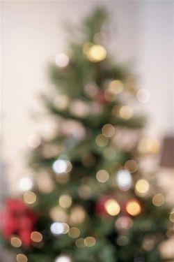 Holiday Festival Christmas Tree