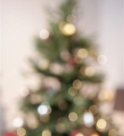 Holiday Festival Christmas Tree