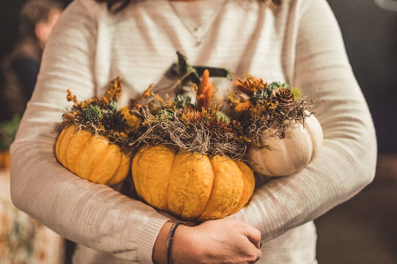 Mini succulent pumpkin trio