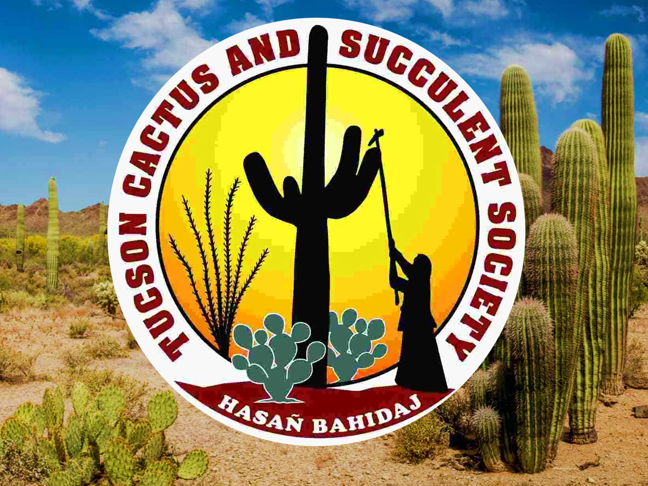 Desert Treasures hosted by Tucson Cactus Succulent Society