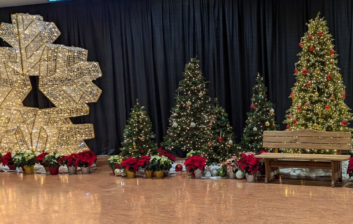 Festive Entrance Display