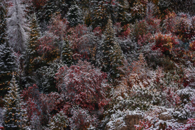 Colors of The Season