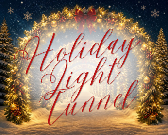 Holiday Light Tunnel