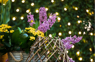 FLOWERS SELFIE STATION