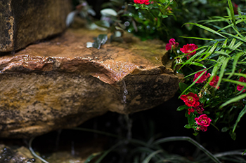 Feature Garden Feature Garden