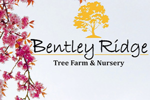 Bentley Ridge