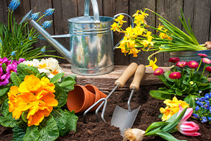 gardening