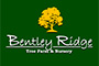 Bentley Ridge