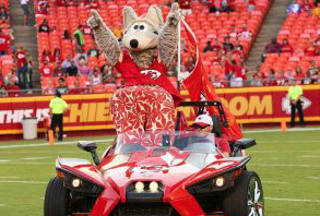 MEET THE WOLF MEET THE WOLF