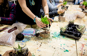 DIY PLANT WORKSHOPS