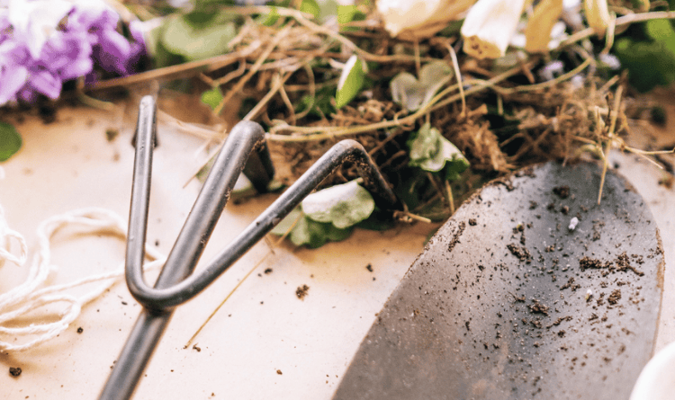 ASK A MASTER GARDENER