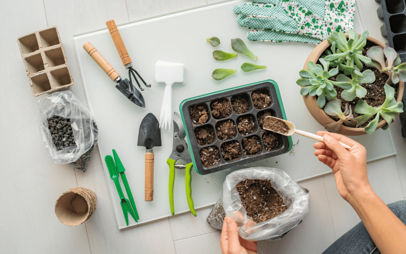 Beginner gardener learning to garden indoors on a table