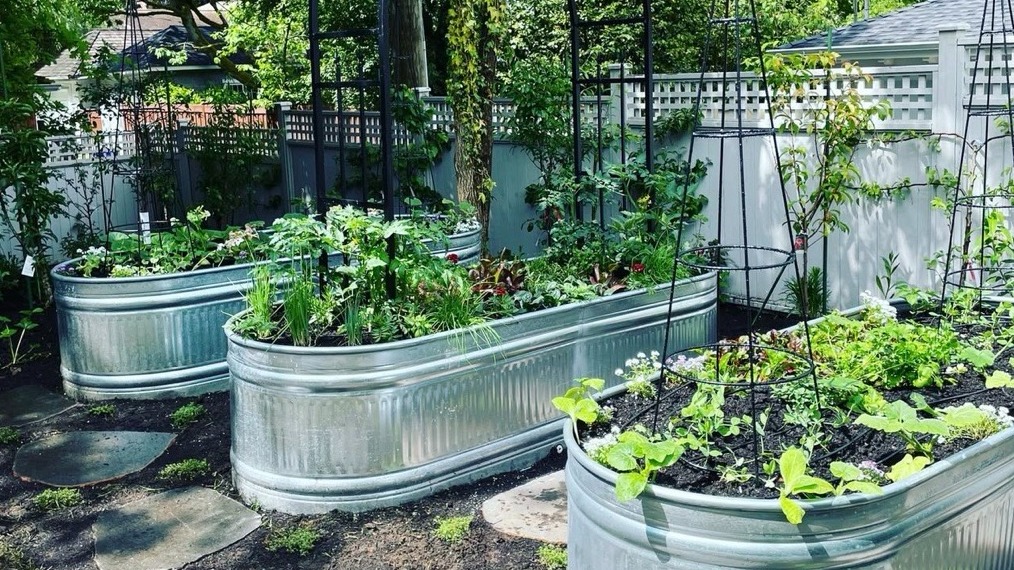 Garden to Table Learning Hub