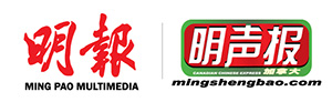 MP-Multi-media