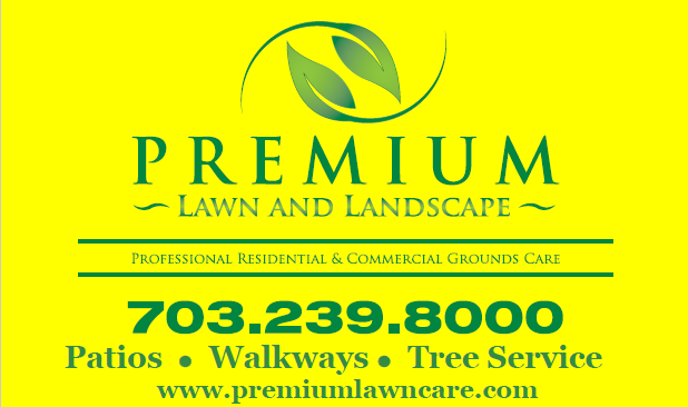 Premium Lawn