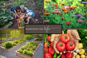 Calgary Horticultural Society Gardens