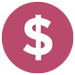 dollar icon